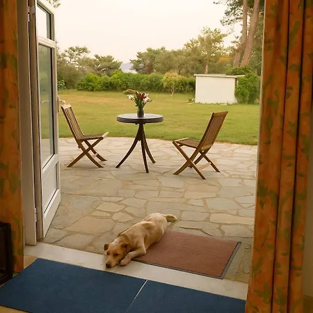 Thassos Cozy Nests - Escape Amidst Greenery