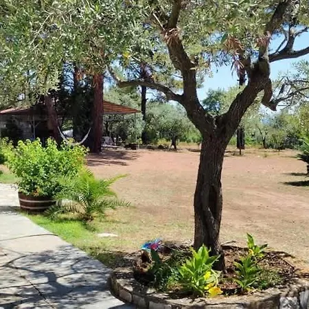 Thassos Cozy Nests - Escape Amidst Greenery * Kinira