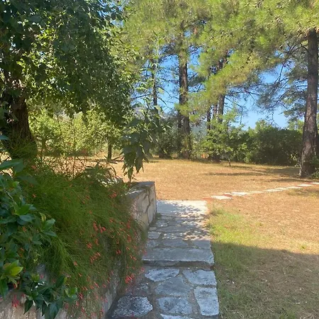 Thassos Cozy Nests - Escape Amidst Greenery