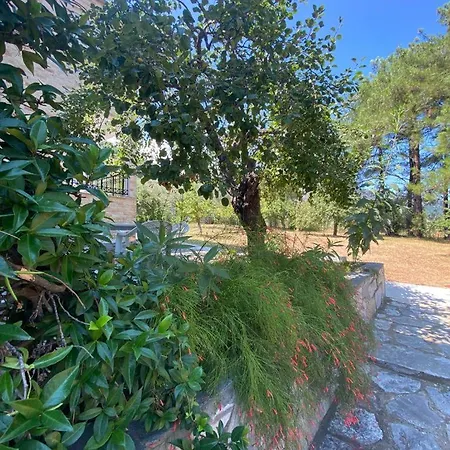 Thassos Cozy Nests - Escape Amidst Greenery Apartment Kinira