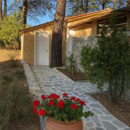 Apartment Thassos Cozy Nests - Escape Amidst Greenery