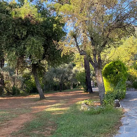 Thassos Cozy Nests - Escape Amidst Greenery Κοίνυρα