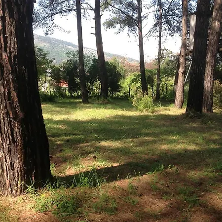 Apartment Thassos Cozy Nests - Escape Amidst Greenery Koinira
