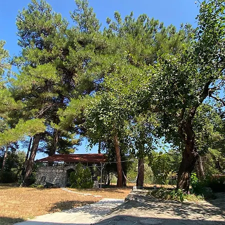Apartment Thassos Cozy Nests - Escape Amidst Greenery