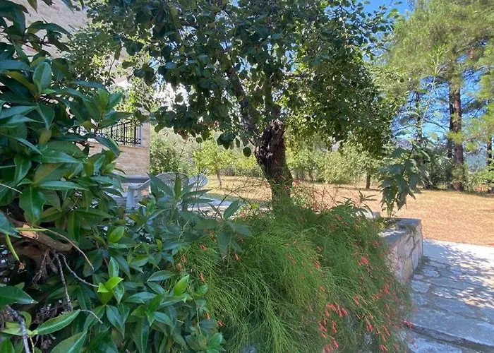 Thassos Cozy Nests - Escape Amidst Greenery Διαμέρισμα Κοίνυρα